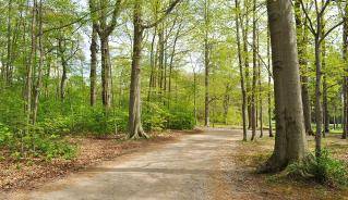 arva_weldon_park_trail.jpg arva_weldon_park_trail.jpg