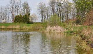 ilderton_meadowcreek_park_pond.jpg ilderton_meadowcreek_park_pond.jpg