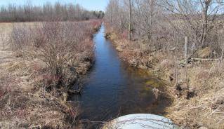 municipal_drain.jpg municipal_drain.jpg
